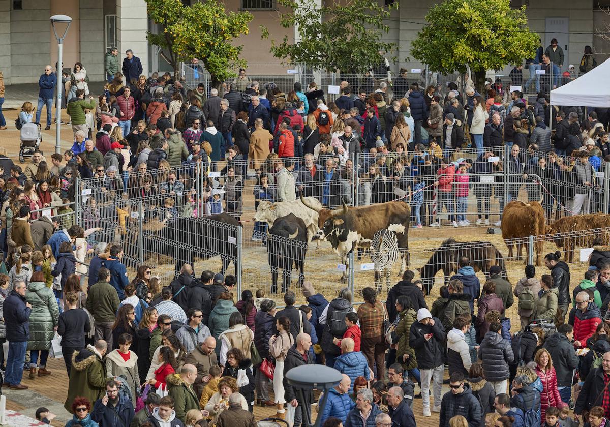 Éxito de la feria agrícola y ganadera de Leioa con la participación de